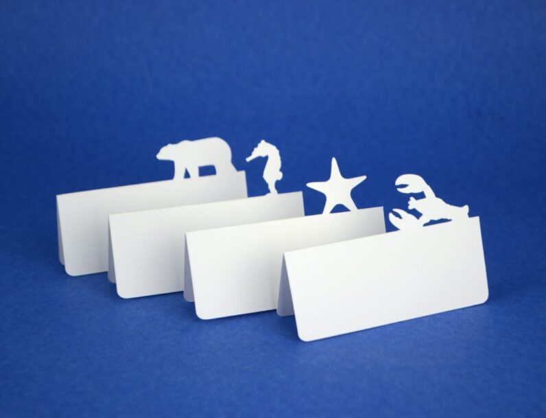 Ocean Animals Place Cards Set of 24 [Set B]