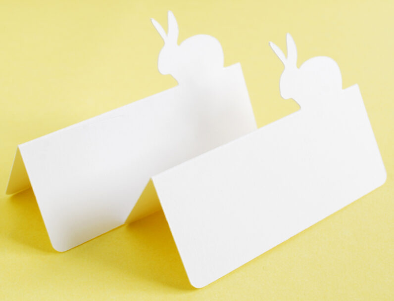 Bunny Rabbit Tent style Place Cards Set of 24