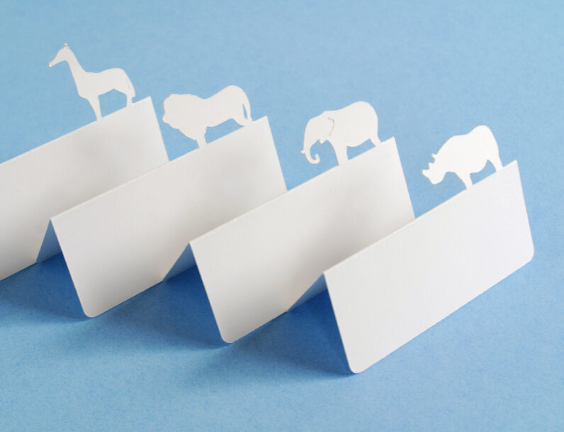 Safari Animals Place Cards Set of 24