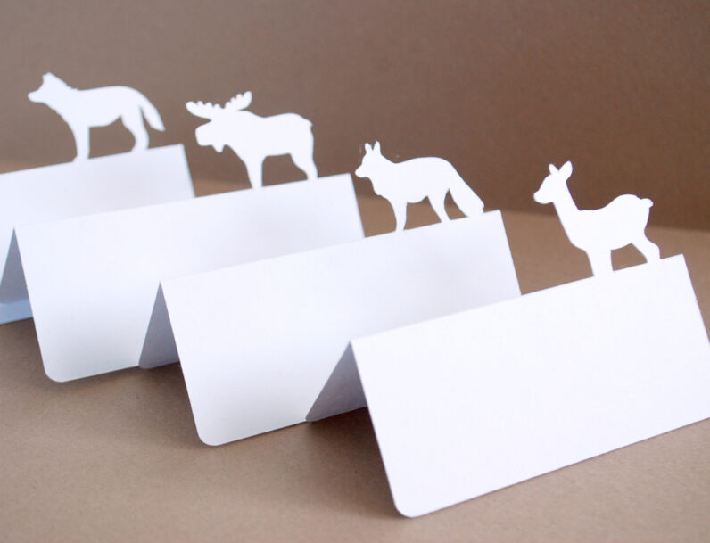 Woodland Animals Place Cards Set of 24