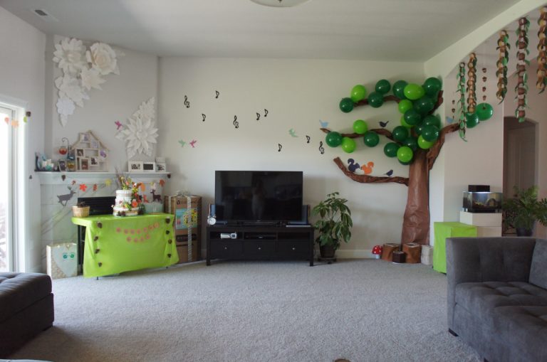 Concert in the Forest Baby shower