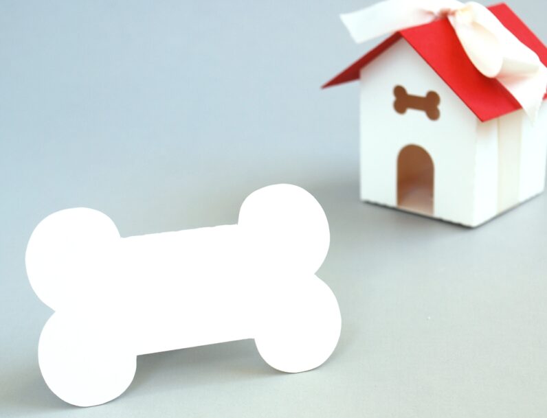 Bone Shaped Place Cards Set of 24