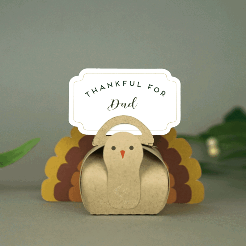 Turkey Thanksgiving Favor box Place setting Set of 12